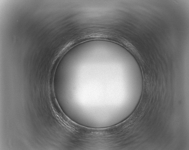 X0000058770482200509300844