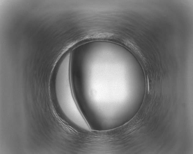 X0000058770483200509300844