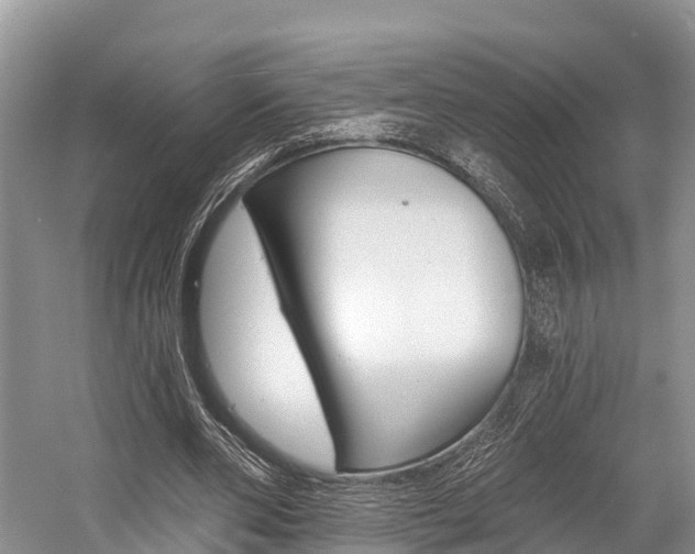 X0000058770486200509300844