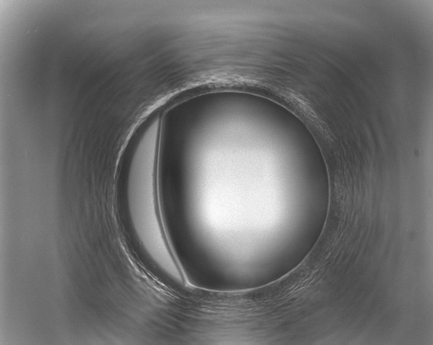 X0000058770488200509300844