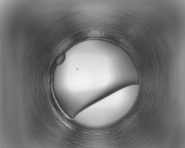 X0000058770490200509300843