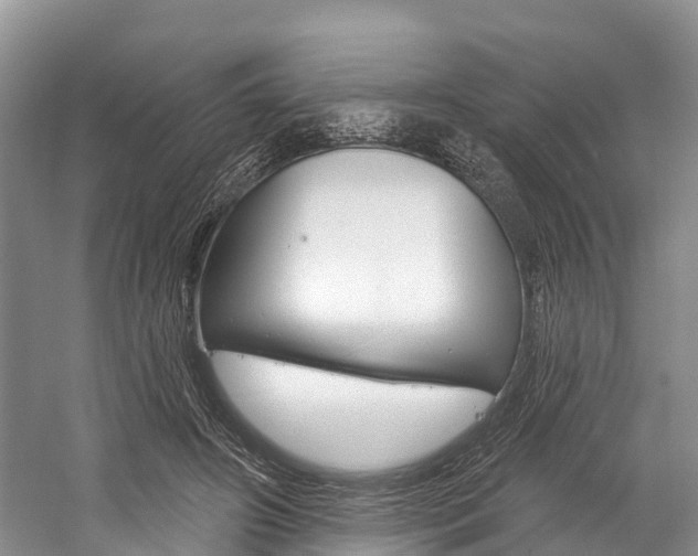 X0000058770498200509300843