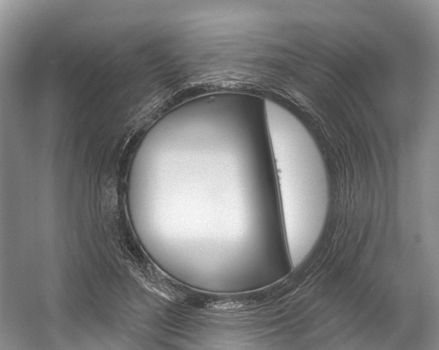 X0000058770500200509300843
