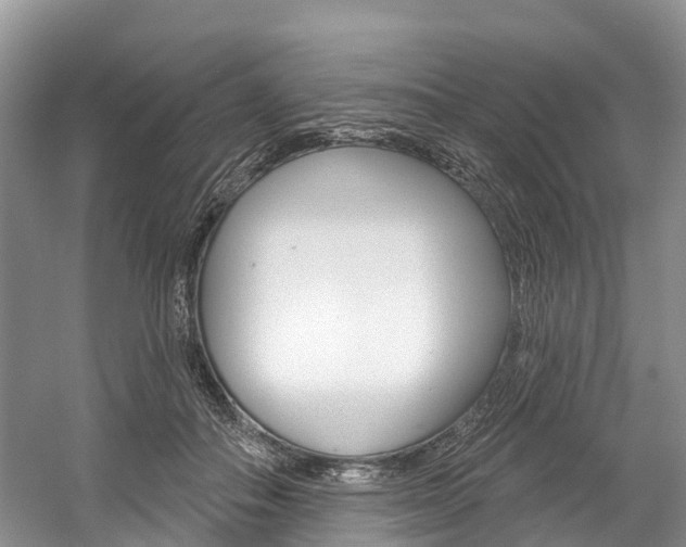 X0000058770506200509300843