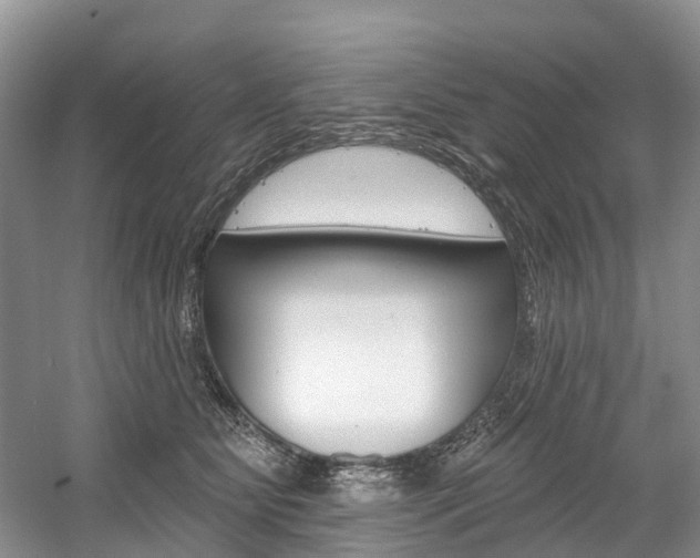 X0000058770515200509300843