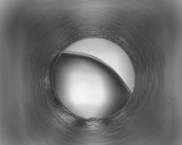 X0000058770516200509300843
