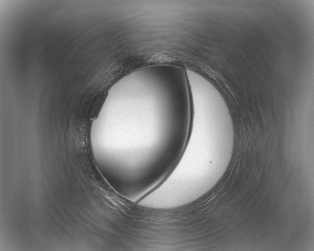 X0000058770517200509300843