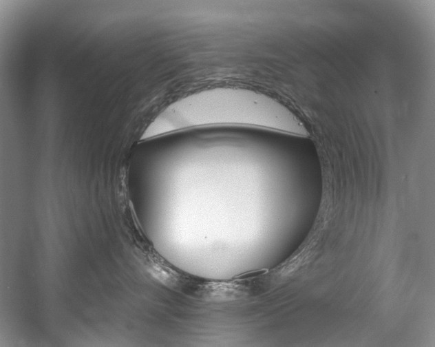 X0000058770528200509300843