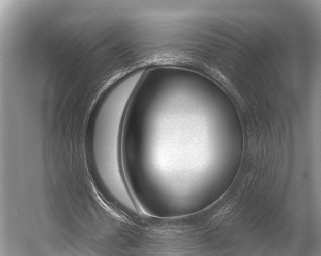 X0000058770530200509300842
