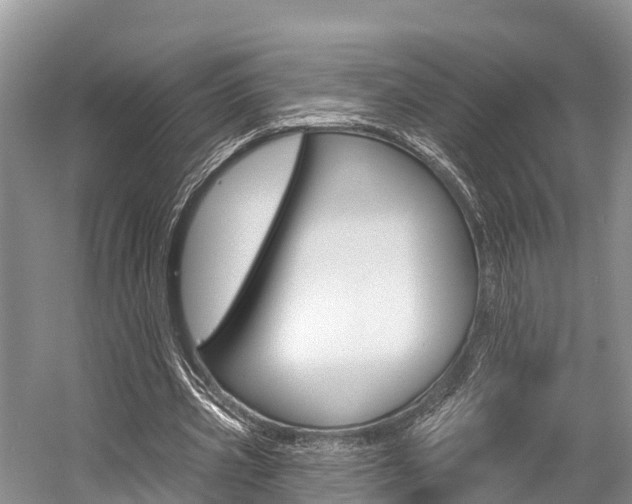 X0000058770533200509300842