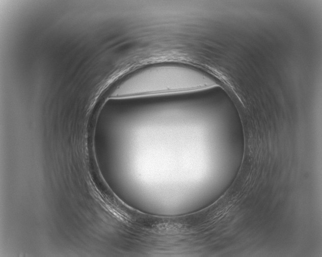 X0000058770535200509300842
