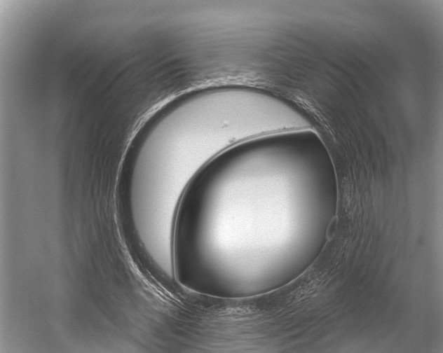 X0000058770536200509300842