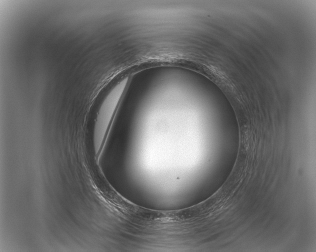 X0000058770544200509300842