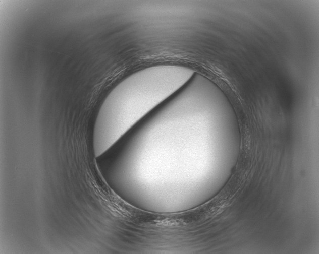 X0000058770545200509300842