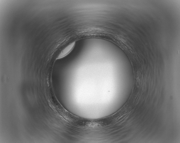 X0000058770547200509300842