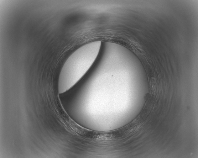 X0000058770550200509300842