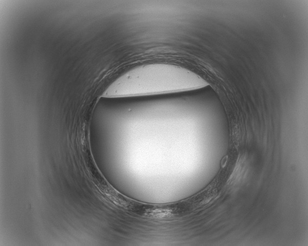 X0000058770554200509300842