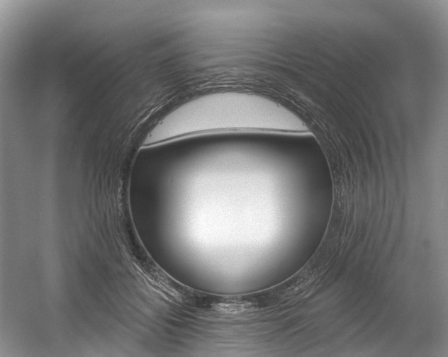 X0000058770556200509300842