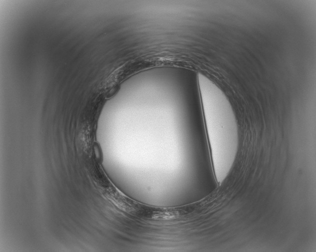 X0000058770559200509300843