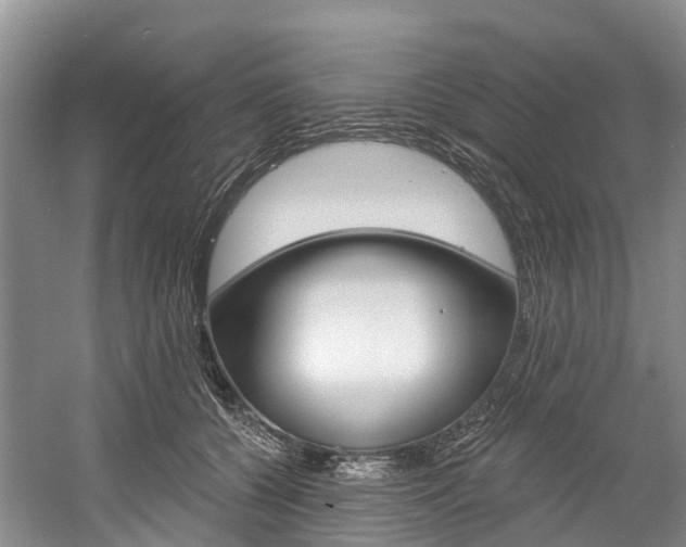 X0000058770560200509300843