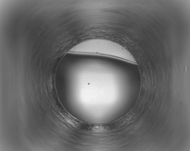 X0000058770562200509300843
