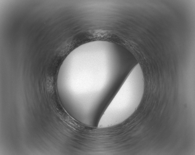 X0000058770563200509300843