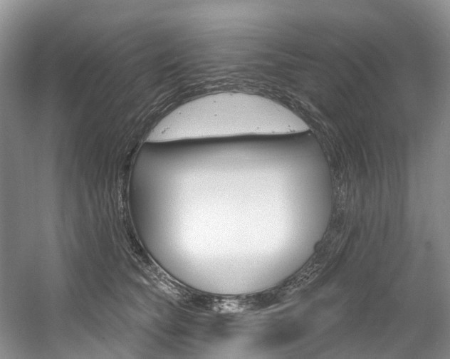 X0000058770565200509300843