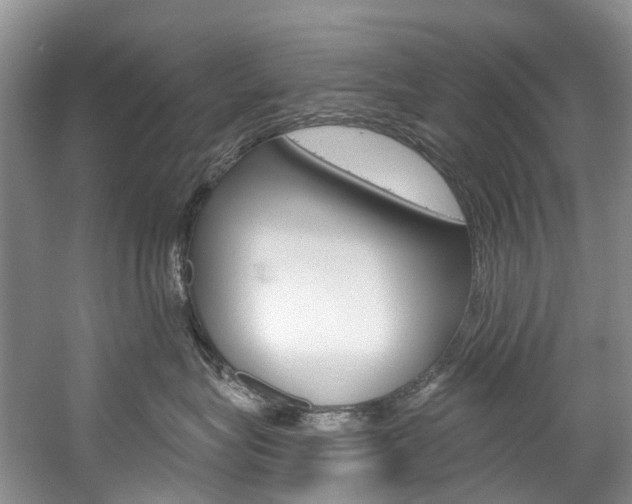 X0000058770575200509300843