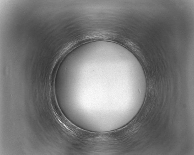 X0000058770578200509300842