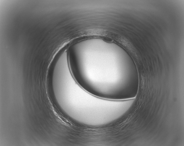 X0000058770580200509300842