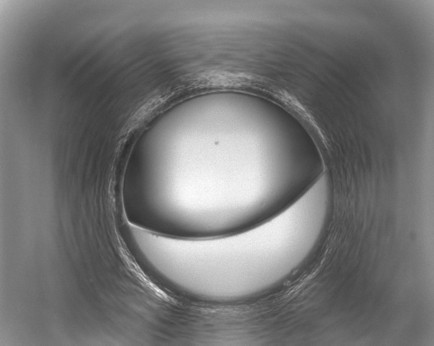 X0000058770581200509300842