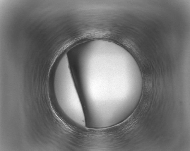 X0000058770582200509300842