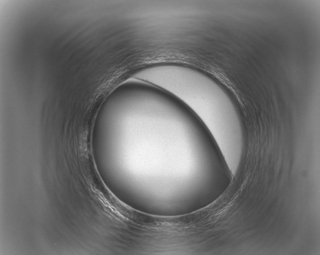 X0000058770585200509300842