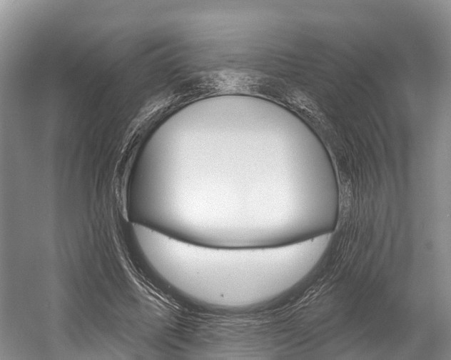 X0000058770587200509300842