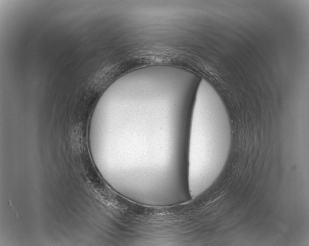 X0000058770594200509300842