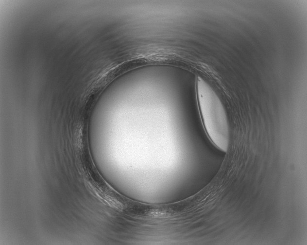 X0000058770596200509300842