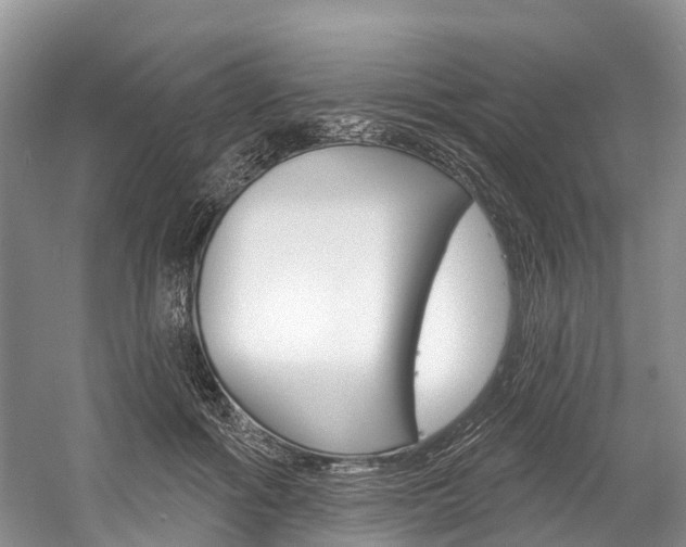 X0000058770602200509300842