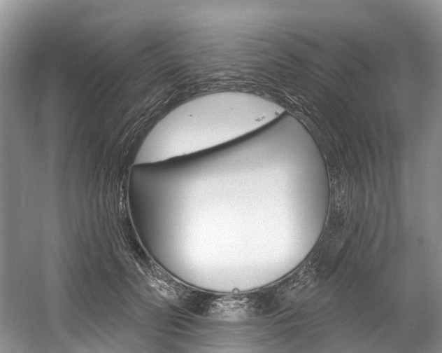 X0000058770606200509300841
