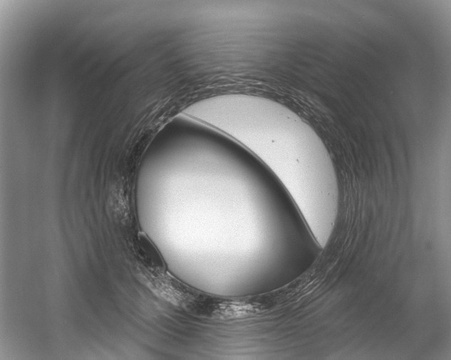 X0000058770607200509300841