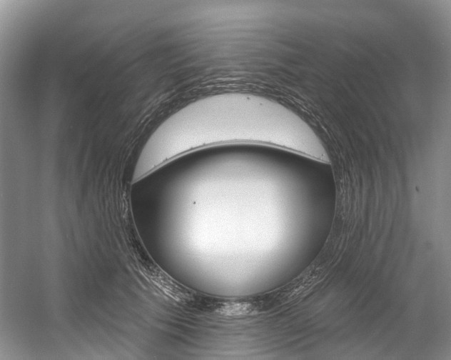 X0000058770609200509300841