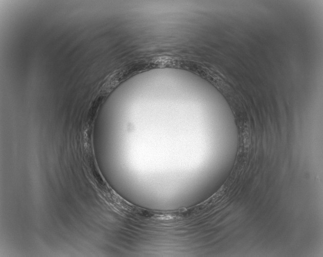 X0000058770611200509300841