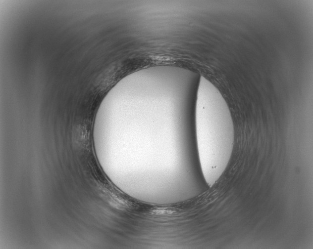 X0000058770614200509300841