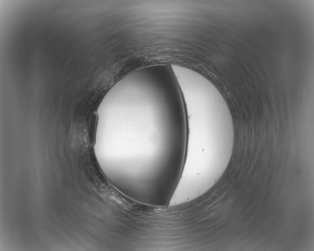 X0000058770617200509300841