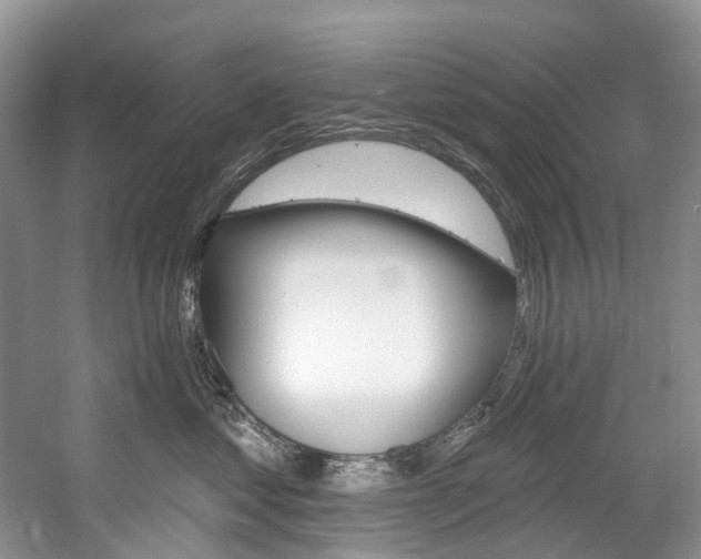 X0000058770621200509300841