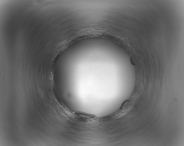 X0000058770624200509300841