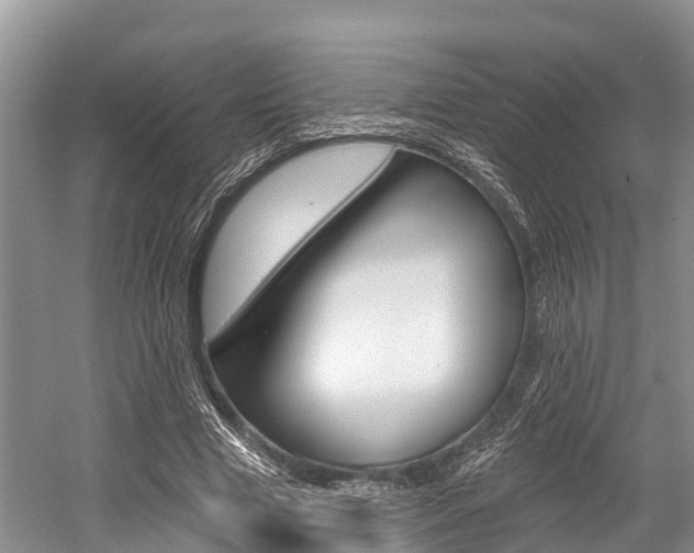 X0000058770633200509300841