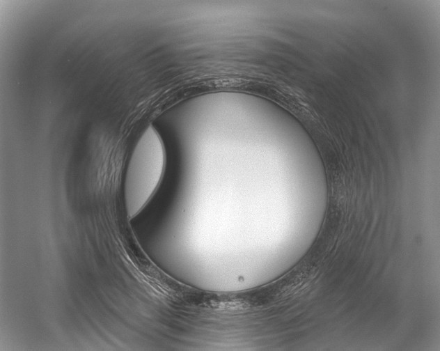 X0000058770645200509300841