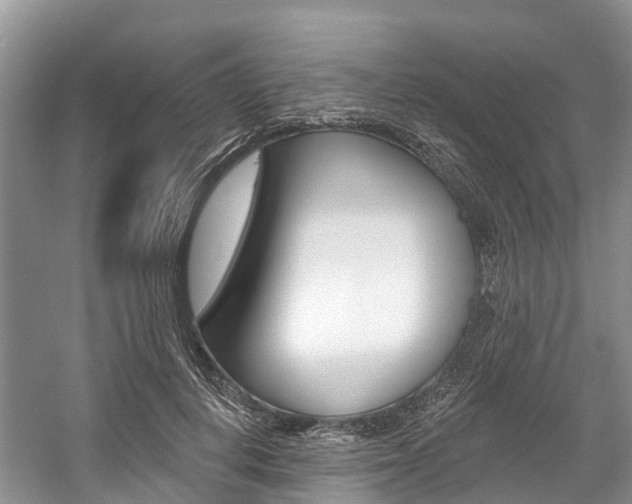 X0000058770648200509300841
