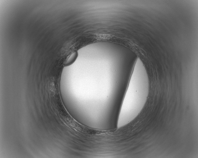 X0000058770655200509300841