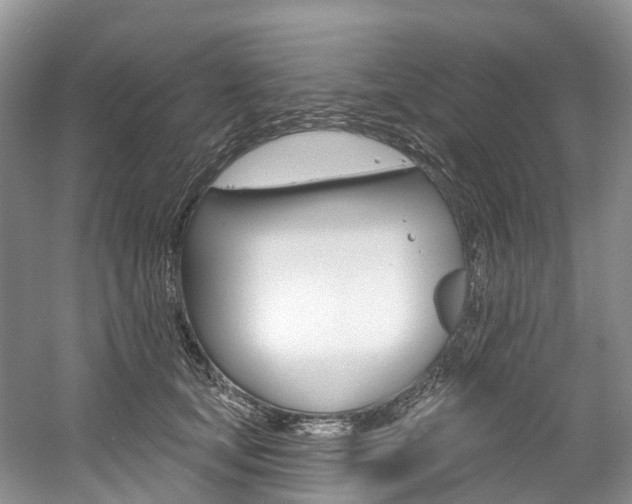 X0000058770659200509300841